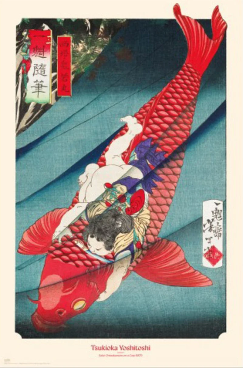 Poster Carp or Koi 61x91,5cm