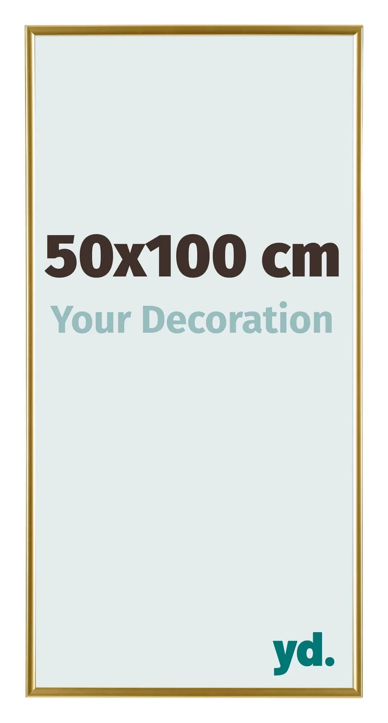 Bilderrahmen 50x100 cm - Gold - Kunststoff - Evry