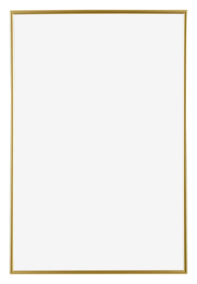 Bilderrahmen 61x91,5 cm - Gold - Kunststoff - Evry