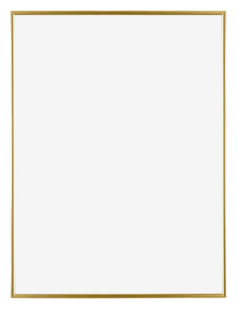 Bilderrahmen 46x61 cm - Gold - Kunststoff - Evry