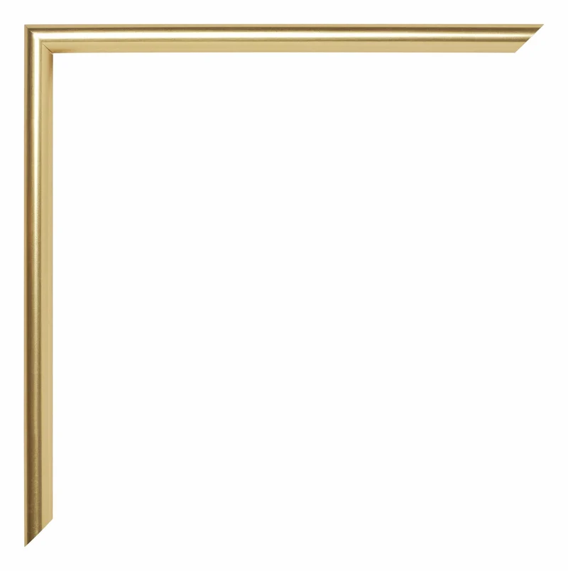 Bilderrahmen A3 - 29,7x42 cm - Gold - Kunststoff - Annecy