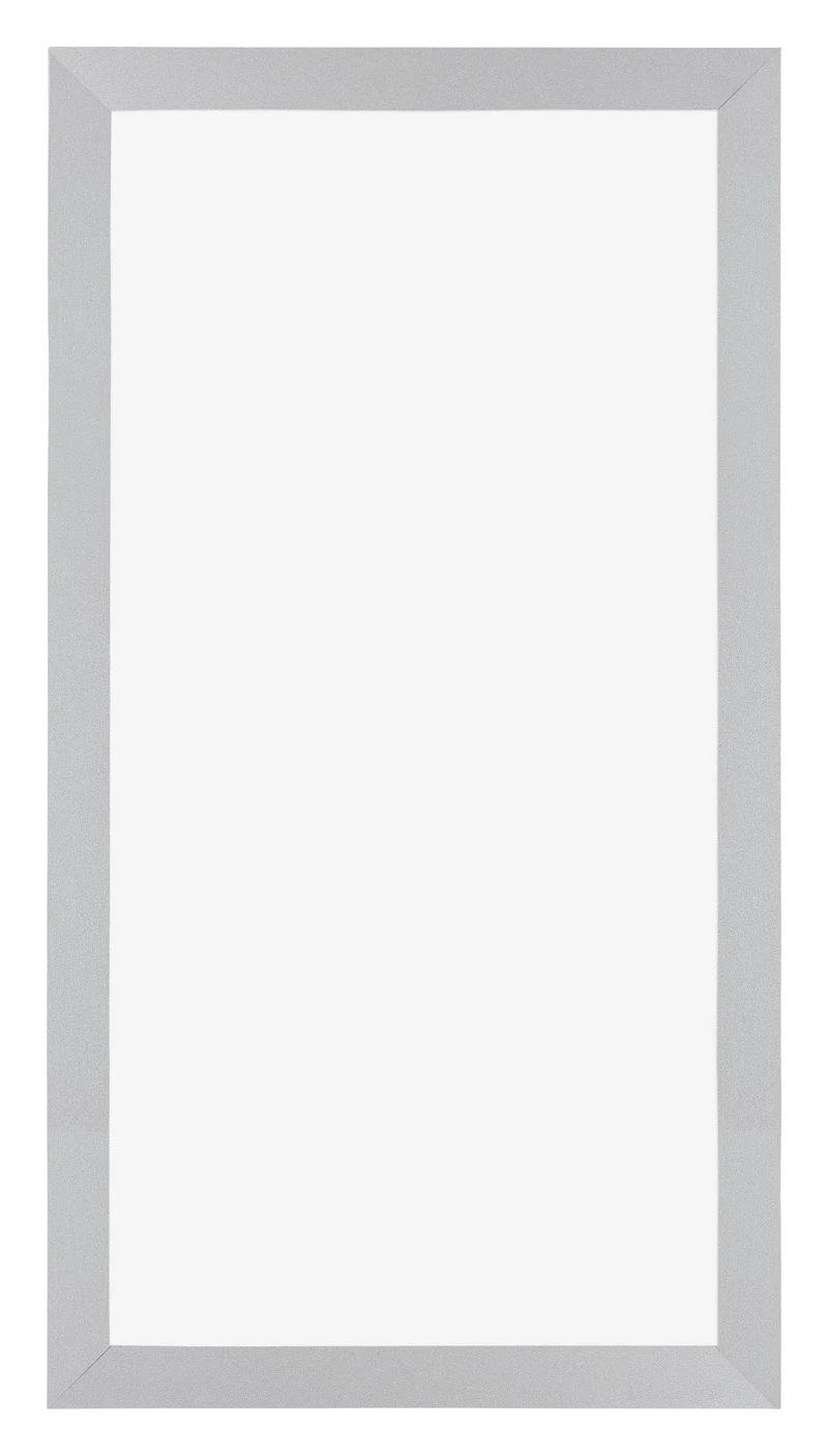 Bilderrahmen 50x100 cm - Silber Matt - MDF - Mura