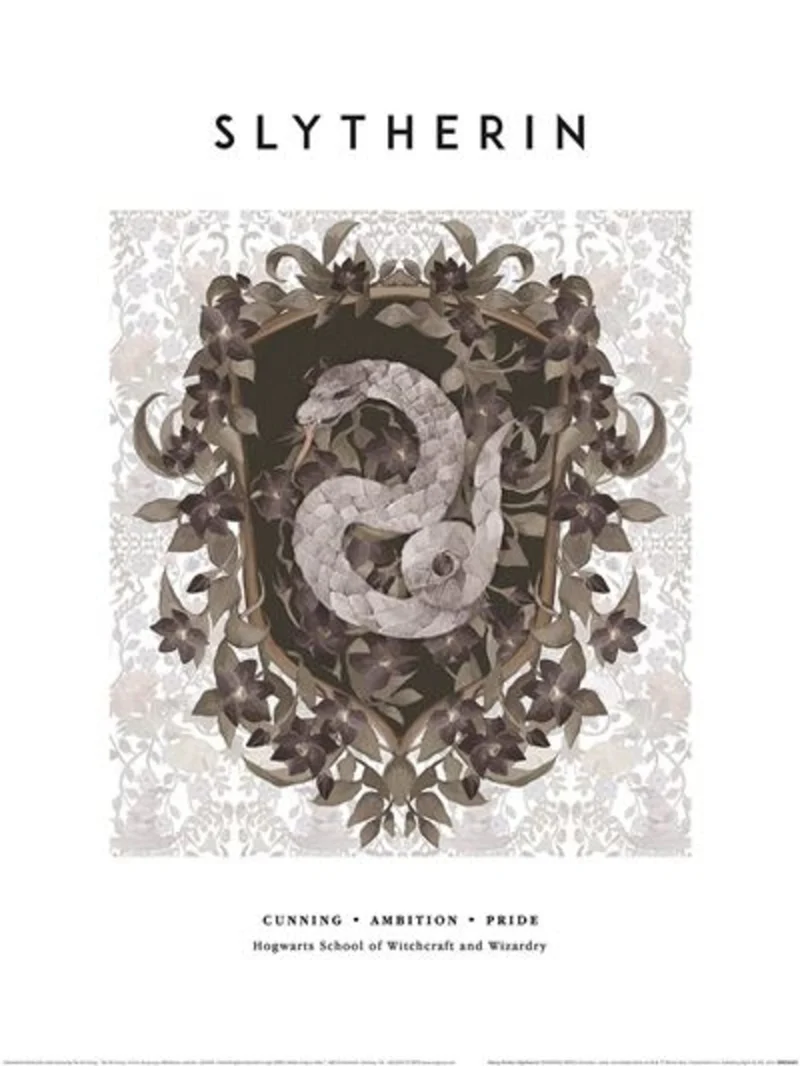 Kunstdruck Harry Potter - Slytherin 30x40cm