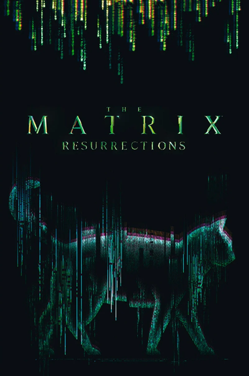 Poster The Matrix - Cat 61x91,5cm
