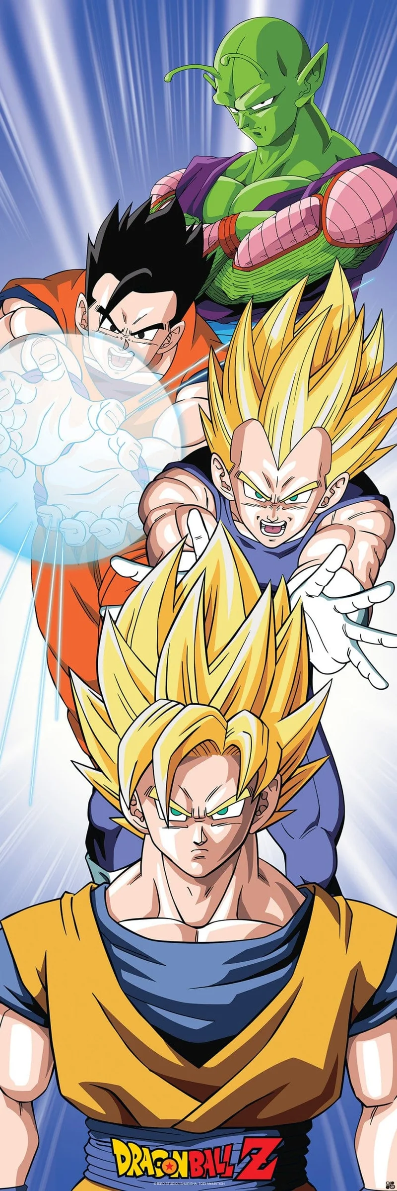 Poster Dragon Ball - Saiyans 53x158cm