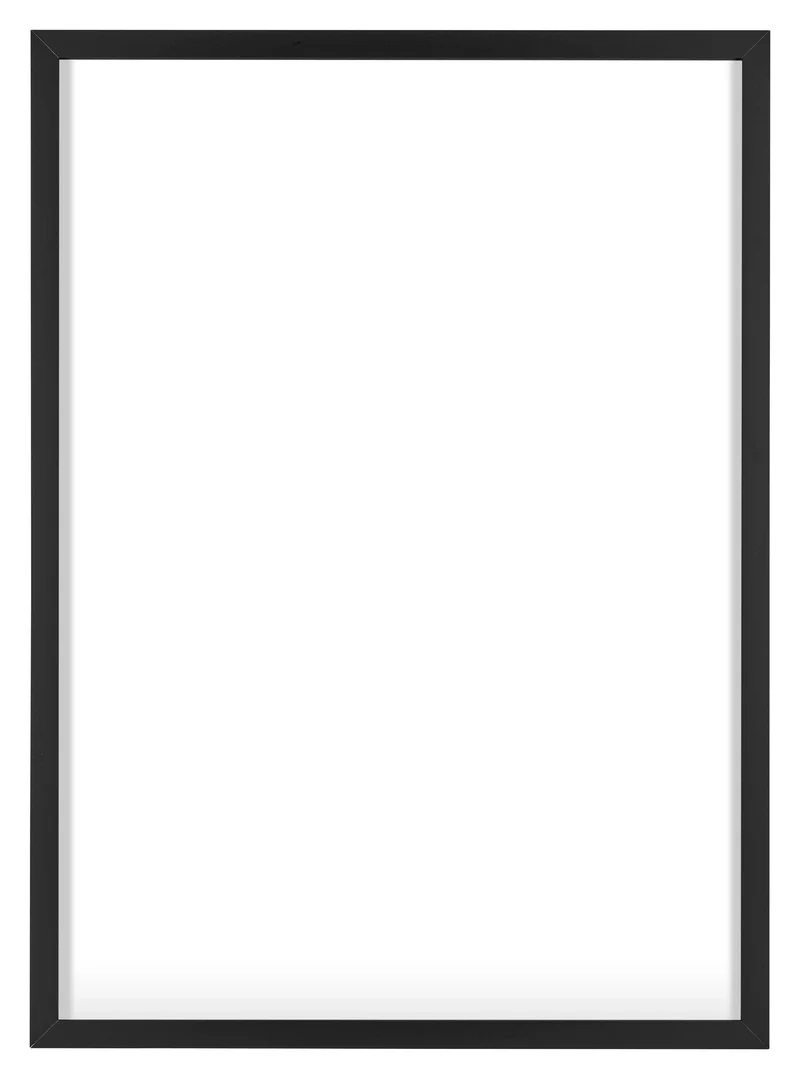 Bilderrahmen 29,7x42 cm - Schwarz - Aluminium - Virginia