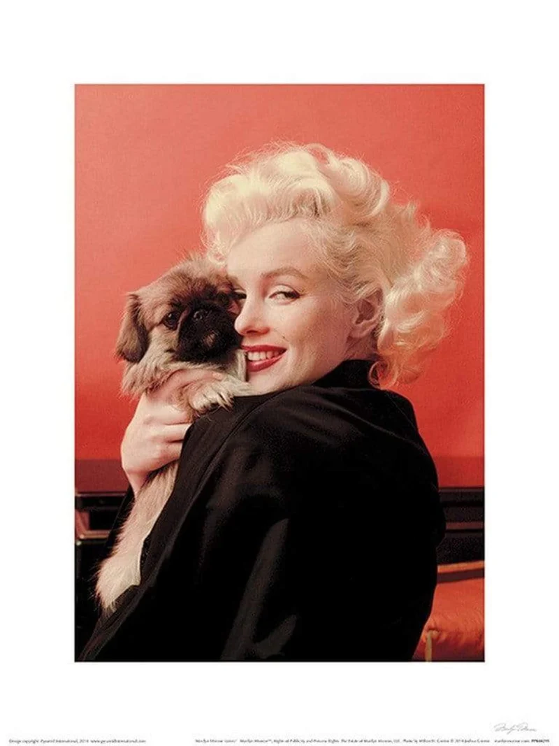 Marilyn Monroe - Love Kunstdruck 30x40cm