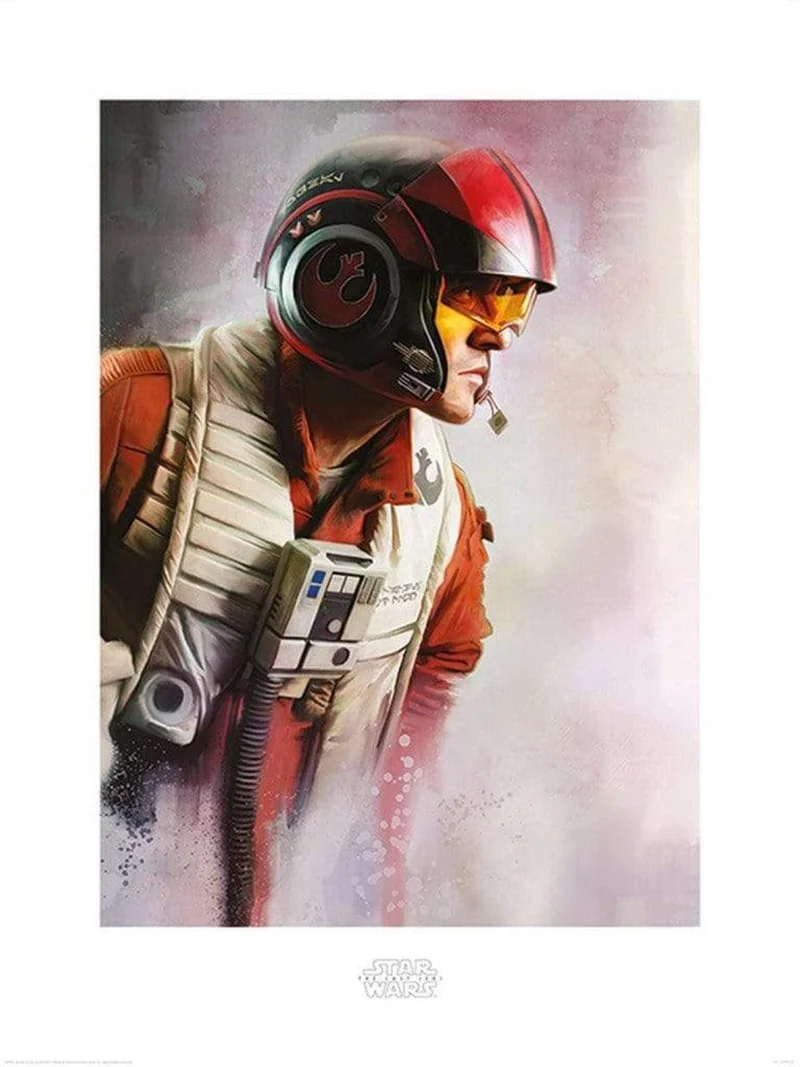 Kunstdruck Star Wars - The Last Jedi Poe Paint 60x80cm