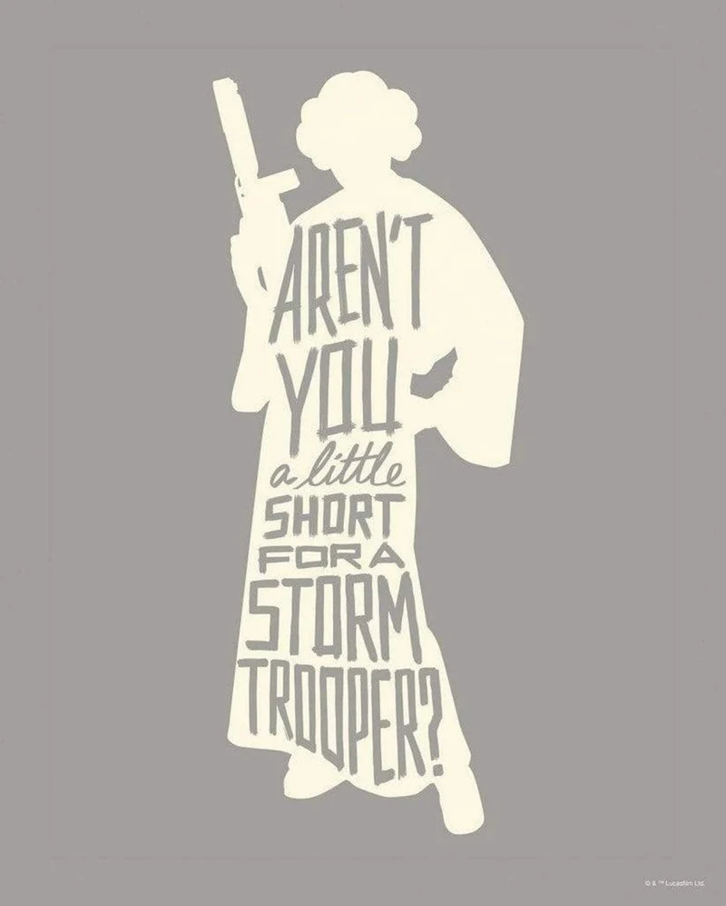 Kunstdruck Star Wars - Silhouette Quotes Leia 40x50cm