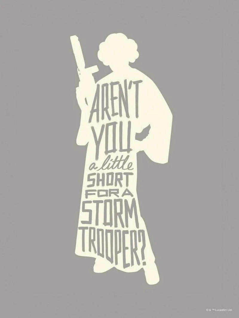 Kunstdruck Star Wars - Silhouette Quotes Leia 30x40cm