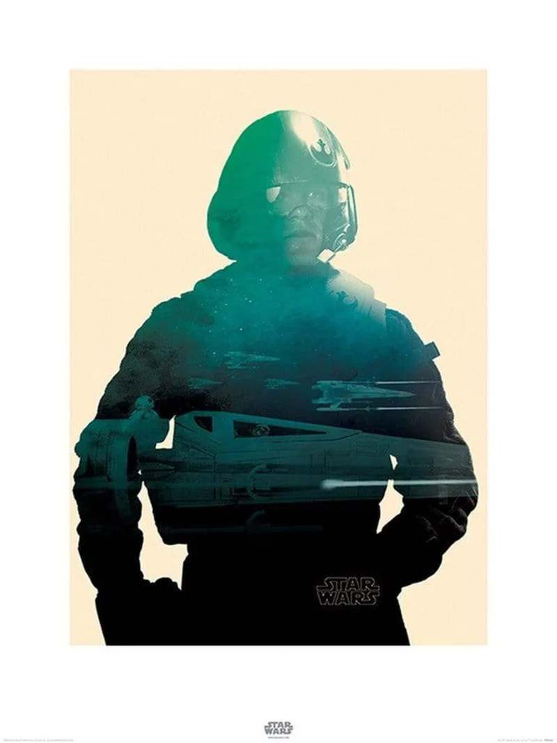Kunstdruck Star Wars - Episode VII Poe Tri 60x80cm