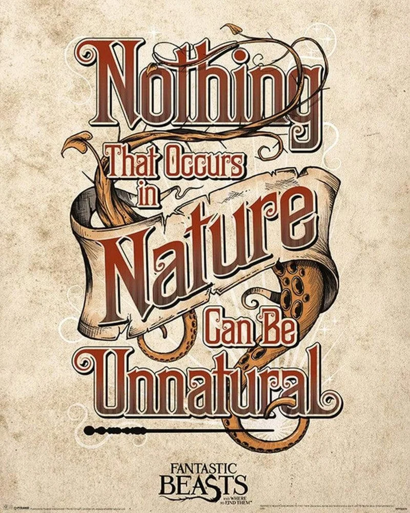 Poster Fantastic Beasts - Unnatural 40x50cm