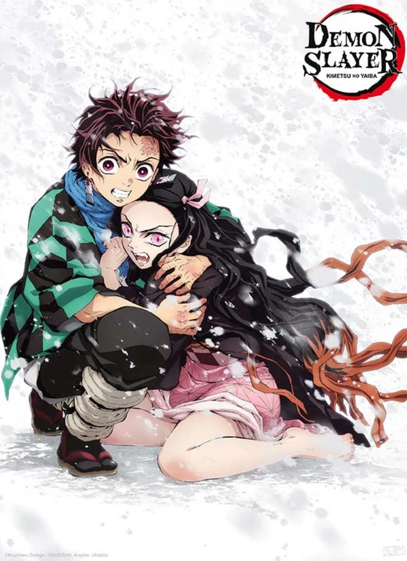 Poster Demon Slayer - Tanjiro & Nezuko Snow 38x52cm