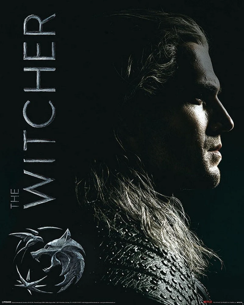 Poster The Witcher - Shadows Embrace 40x50cm