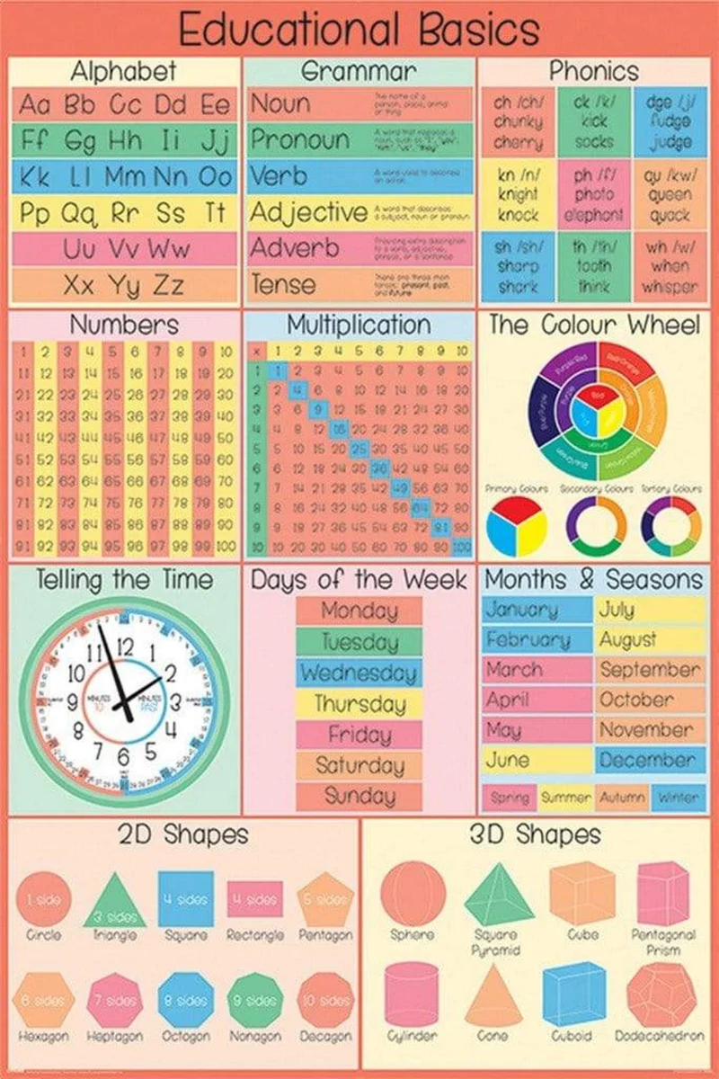 Poster Educational Basics 61x91,5cm