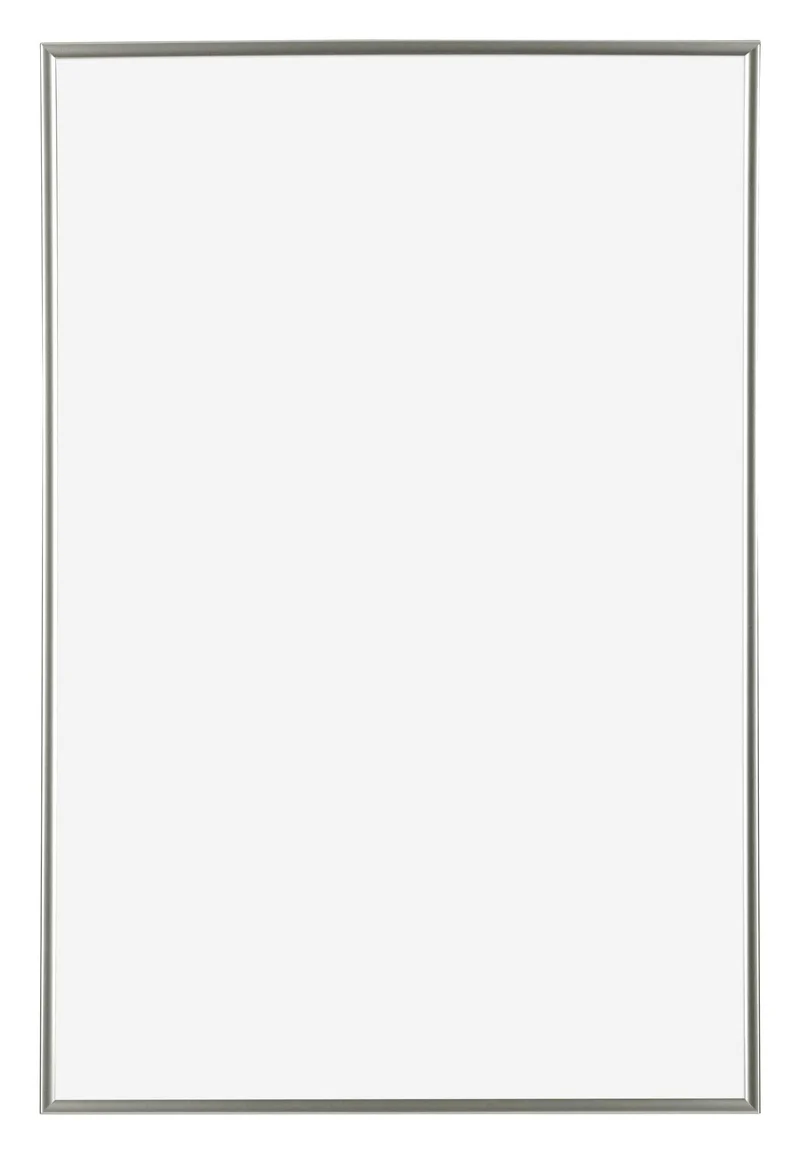 Bilderrahmen 62x93 cm - Champagner - Kunststoff - Evry