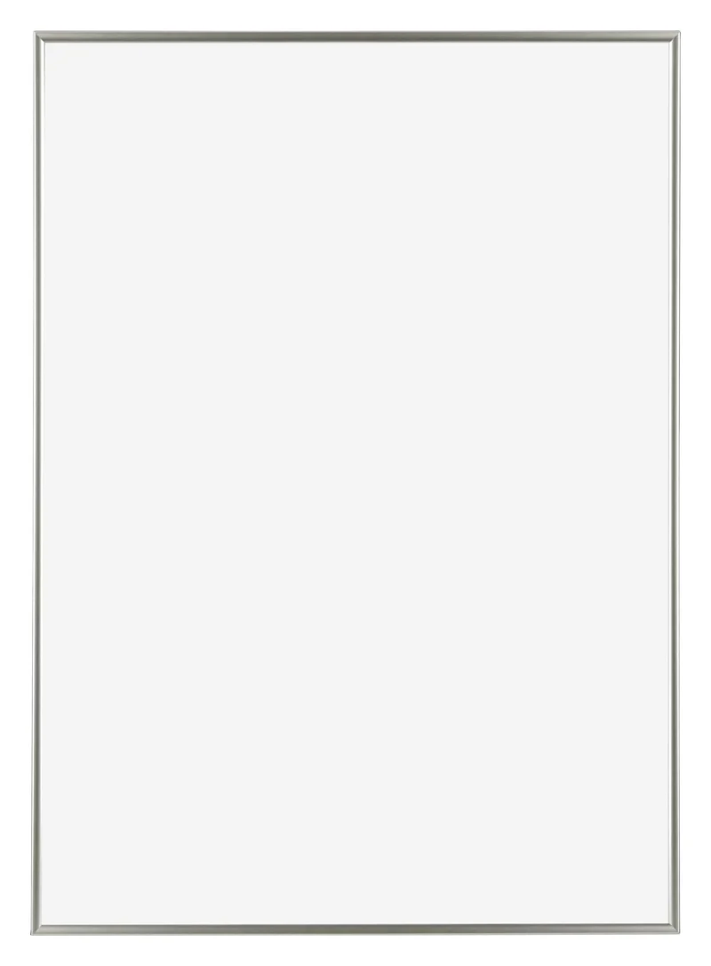Bilderrahmen A2 - 42x59,4 cm - DIN A2 Champagner - Kunststoff - Evry