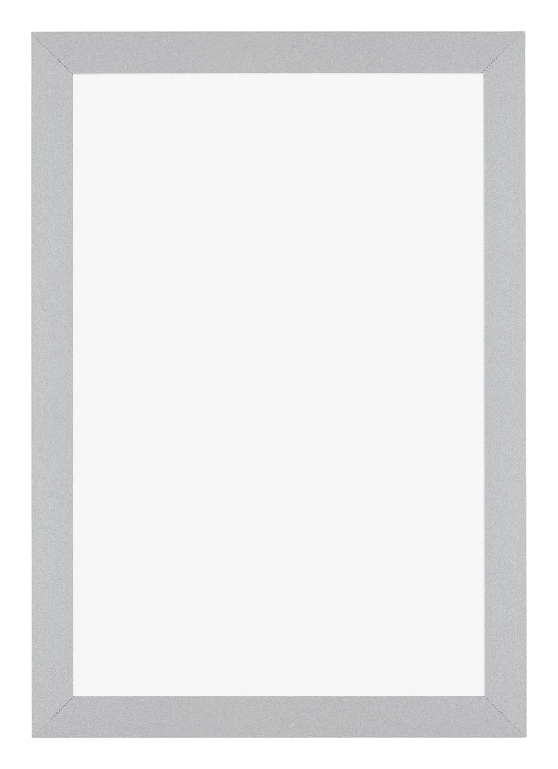 Bilderrahmen 62x93 cm - Silber Matt - MDF - Mura